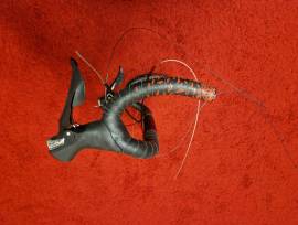 Eladó Cube o.u. kormány Shimano fékv. karokkal Cube Peloton Road Bike & Gravel Bike & Triathlon Bike Component, Road Bike Handlebars / Stems / Grips used For Sale