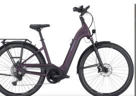 PEGASUS Pegasus Premio Evo 11 Lite 750 Dark Berry 28