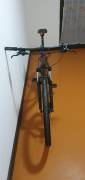 DEMA DEMA ENERGY 5 29er Mountain Bike 29" front suspension Shimano Alivio new / not used For Sale