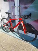 WILIER Wilier GTR Team Carbon 105 2x12sp( S) ( 0 km) Road bike Shimano 105 disc brake new with guarantee For Sale