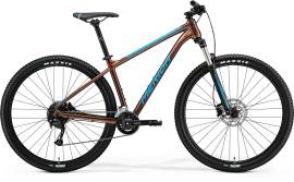 MERIDA Big Nine 100 2X 2021 