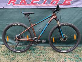 MERIDA Big Nine 100 2X 2021 