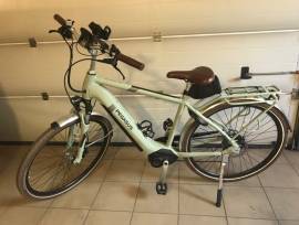 PEGASUS Solero Evo9 Special Edition Electric Trekking/cross 25 km/h Bosch 601-700 Wh used For Sale