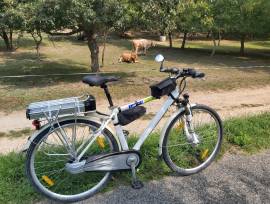 LEIER Leier eco Electric Trekking/cross 25 km/h _Other manufacturer used For Sale