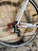 WILIER Montegrappa 2014 Road bike Campagnolo Veloce calliper brake used For Sale