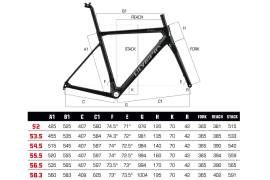 OLYMPIA Olympia Leader  Road bike Shimano 105 disc brake used For Sale