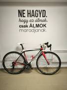 WILIER Wilier La Triestina Országúti Shimano Dura Ace patkófék használt ELADÓ