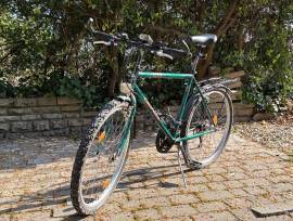 GEPIDA Gepida Városi / Cruiser használt ELADÓ