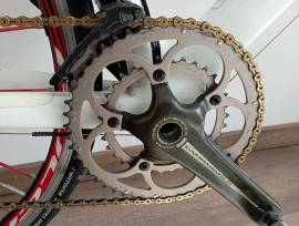 GIANT TCR Advanced Road bike Campagnolo Record calliper brake used For Sale