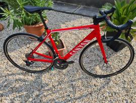 CANYON Canyon Endurace CF 7 Katusha Red S 51 Országúti Shimano 105 v-fék használt ELADÓ