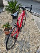CANYON Canyon Endurace CF 7 Katusha Red S 51 Országúti Shimano 105 v-fék használt ELADÓ