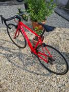 CANYON Canyon Endurace CF 7 Katusha Red S 51 Országúti Shimano 105 v-fék használt ELADÓ
