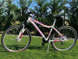 _EGYÉB Explorer Tea Mountain Bike elöl teleszkópos használt ELADÓ