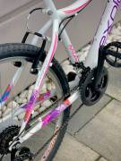_EGYÉB Explorer Tea Mountain Bike elöl teleszkópos használt ELADÓ