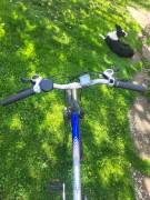 HAUSER Winner Mountain Bike 24" front suspension used For Sale