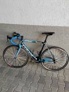 FOCUS Izalco team sl 4.0  Road bike calliper brake used For Sale