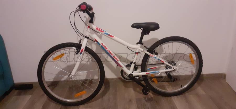 Winora Ruff Rider NAKAMURA Sury 24