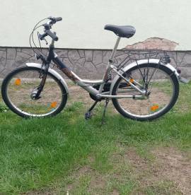PEGASUS SX24 Kids Bikes / Children Bikes used For Sale