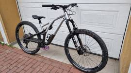 SPECIALIZED Stumpjumper EVO Elite Alloy S4 Enduro / Freeride / DH 29" SRAM GX Eagle used For Sale