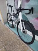 BMC 2027 BMC Roadmachine TWO 105 DI2 47,51,54,56,58,61 Road bike Shimano 105 Di2 disc brake new with guarantee For Sale