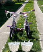 _EGYÉB Venera Pony 12