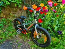 SPECIALIZED Riprock coaster 16 Kids Bikes / Children Bikes used For Sale