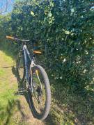 KELLYS Kelly’s Spider 30 Mountain Bike 29" front suspension Shimano Acera used For Sale