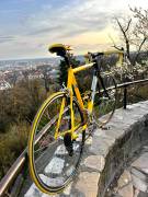 WHEELER 7100 Alu+Carbon villa Road bike Shimano Tiagra V-brake used For Sale