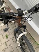 SCOTT Contessa 30 (26