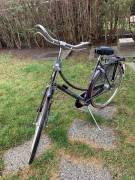 BATAVUS Flying Dutchman City / Cruiser / Urban new / not used For Sale