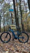 GIANT Talon E+ 3 Electric Mountain Bike 29" front suspension Giant SyncDrive Shimano Alivio used For Sale