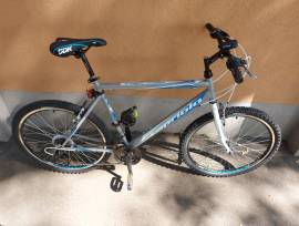 CAPRIOLO Passion Man Mountain Bike 26" rigid new / not used For Sale