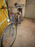 CSEPEL Schwinn Csepel City / Cruiser / Urban coaster used For Sale