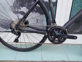 FELT Felt Performance Carbon 105 (L 56 ) ( 0 km Akciós) Road bike Shimano 105 disc brake new with guarantee For Sale