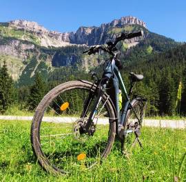 NEUZER Belluno  Elektromos Trekking/cross 25 km/h Bafang 601-700 Wh használt ELADÓ