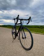 CANNONDALE CAAD Optimo Claris Road bike Shimano Claris V-brake used For Sale