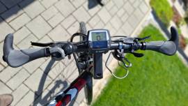 BADDOG 9.1 Electric Trekking/cross 25 km/h Bosch 401-500 Wh used For Sale