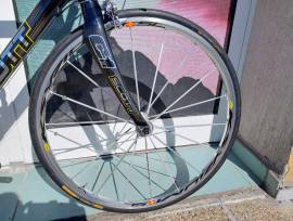 SCOTT SCOTT C1 Team Issue Carbon Dura-Ace 7800  (L 56 )  Road bike Shimano Dura Ace calliper brake new with guarantee For Sale