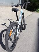 NEUZER Mistral Kids Bikes / Children Bikes used For Sale
