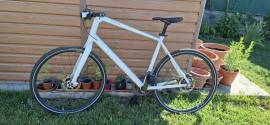 CANYON Urban 8.0 (U10) Városi / Cruiser tárcsafék használt ELADÓ