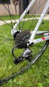 TREK Madone 4.7 Országúti Shimano Ultegra patkófék használt ELADÓ