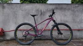 SPECIALIZED Turbo Levo HT/Neuzer Jumbo Pro Mountain Bike 29" elöl teleszkópos használt ELADÓ