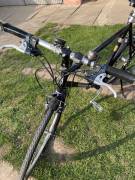 STEPPENWOLF Tao Trekking/cross V-brake used For Sale
