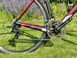 WILIER GTR Team Campagnolo 2x11 XL Road bike Campagnolo Athena calliper brake used For Sale