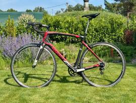 WILIER GTR Team Campagnolo 2x11 XL Road bike Campagnolo Athena calliper brake used For Sale