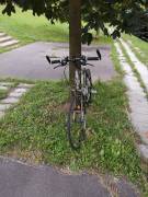 MERIDA Speeder T1 Road bike Shimano Sora V-brake used For Sale