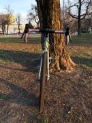 CSEPEL RapidAL Gravel / CX tárcsafék használt ELADÓ