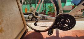 NEUZER Root Racing 257 City / Cruiser / Urban calliper brake new / not used For Sale
