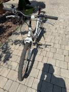 HAUSER Cindy Kids Bikes / Children Bikes used For Sale