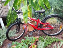 X-FACT MOTUL Mountain Bike 24" front suspension used For Sale